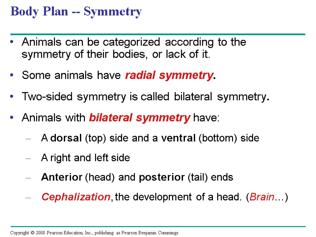 Body Plan -- Symmetry Animals can be categorized according to the symmetry of their